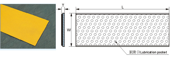 SF-2SP Standard Size